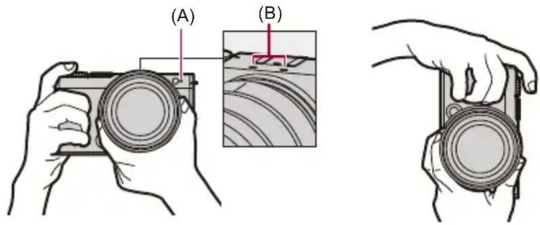 (A) (B)
