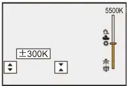 PANASONIC Lumix DC-S9 - [Plus de param.] (Bracketing de la balance des blancs (Température couleur)) - 1