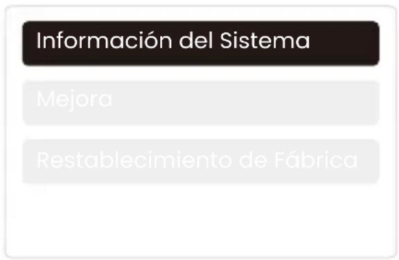 Yaber T2 Plus - Actualización del Sistema - 2