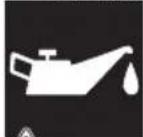Lavor Thermic 5H - INSTRUKCJA OBSŁUGI - 1