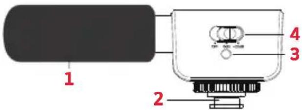 AGFAPHOTO Realishot VLG-4K - MIKROFON - 1