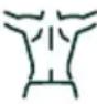 BEURER Antelope Corefit II - PROGRAMAS - 3