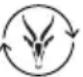 BEURER Antelope Corefit II - Spegnimento automatico - 8
