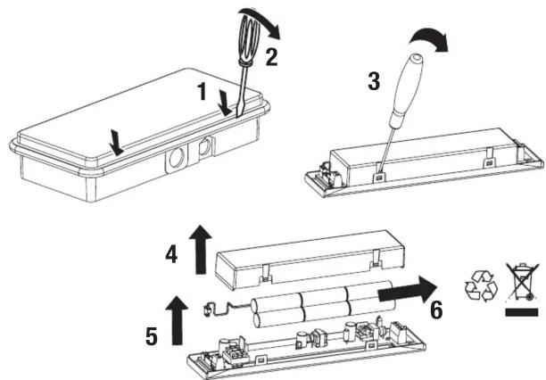 Beghelli 19373 - FLUSSO IN EMERGENZA - EMERGENCY OUTPUT FLUX - 2