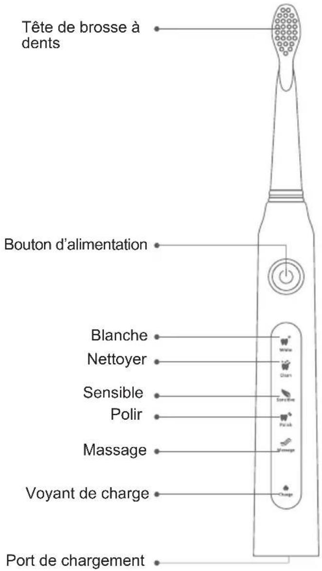 Sogo SS-12340 - Caractéristiques de la brosse à dents - 1