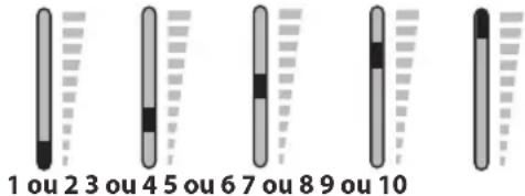 1 ou 2 3 ou 4 5 ou 6 7 ou 8 9 ou 10