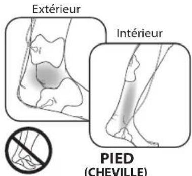 Extérieur Intérieur PIED (CHEVILLE)