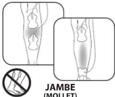 JAMBE (MOLLET)