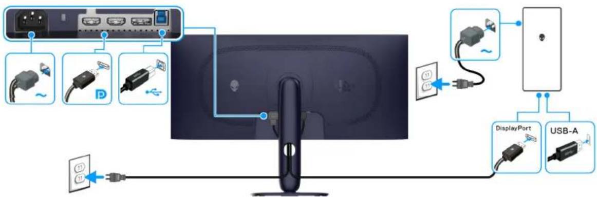 ALIENWARE AW3425DW - Connexion du câble DisplayPort (DP vers DP) - 1