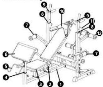 Gymrex GR-WB50 - GYMREX - 2