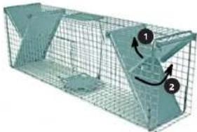Wiesenfield WIE-AT-101 - FR - 4