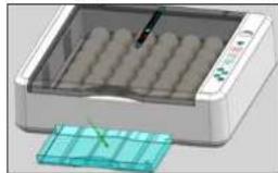 incubato IN-36DDI - PL - 6