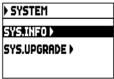 Viscount Cantorum Duo - VERIFICA DELLA VERSIONE DEL SISTEMA OPERATIVO INSTALLATA (funzione SYS. INFO) - 1
