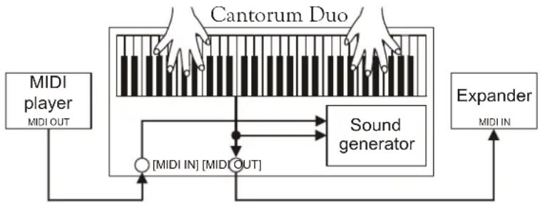 Viscount Cantorum Duo - N.B. - 1
