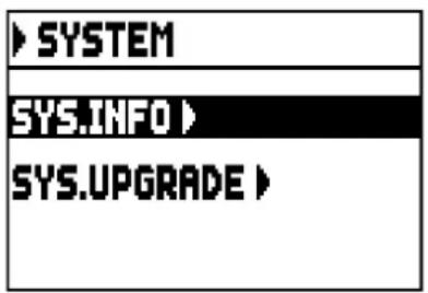Viscount Cantorum Duo - AGGIORNAMENTO DEL SISTEMA OPERATIVO (funzione OP.SYS. UPGRADE) - 1