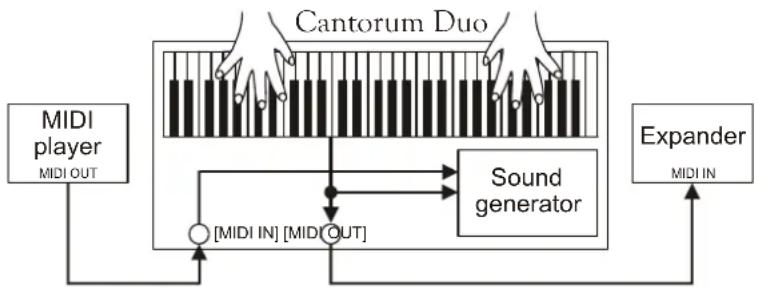 Viscount Cantorum Duo - N.B. - 2