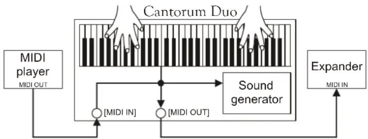 Viscount Cantorum Duo - MIDI SETTINGS (MIDI functions) - 3