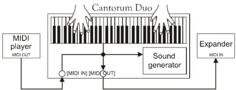 Viscount Cantorum Duo - N.B. - 3