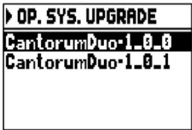 Viscount Cantorum Duo - UPGRADING THE OPERATING SYSTEM (OP. SYS. UPGRADE function) - 2