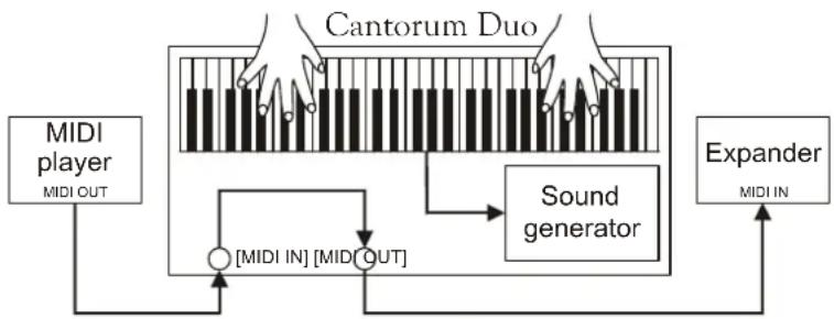 Viscount Cantorum Duo - MIDI SETTINGS (MIDI functions) - 2