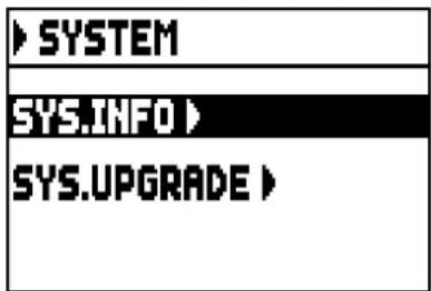 Viscount Cantorum Duo - VERIFICATION DE LA VERSION DU SYSTÈME D'EXPLOITATION INSTALLÉ (fonction SYS. INFO) - 1