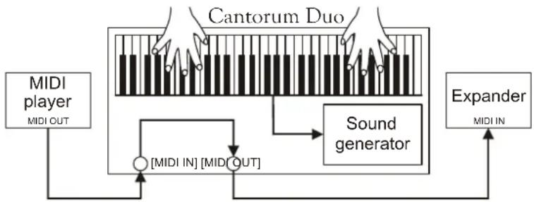 Viscount Cantorum Duo - N.B. - 3
