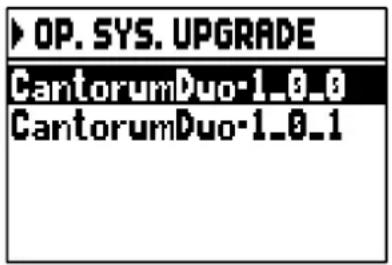 Viscount Cantorum Duo - MISE A JOUR DU SYSTEME D'EXPLOITATION (fonction OP. SYS. UPGRADE) - 2