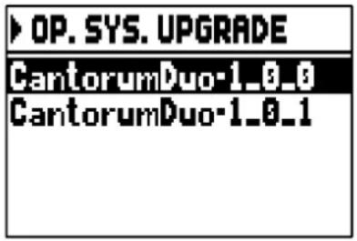 Viscount Cantorum Duo - AGGIORNAMENTO DEL SISTEMA OPERATIVO (funzione OP.SYS. UPGRADE) - 2