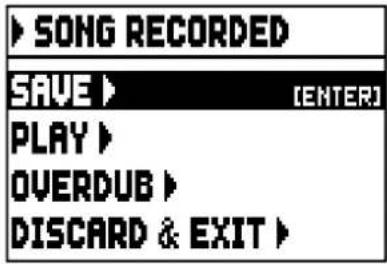 Viscount Cantorum Duo - RECORDING A SONGS (RECORD mode) - 3