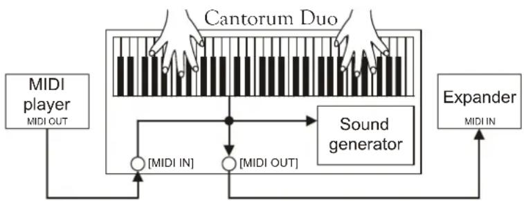 Viscount Cantorum Duo - N.B. - 4