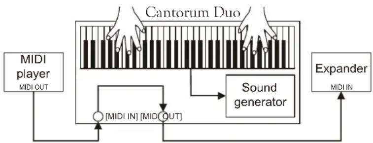 Viscount Cantorum Duo - N.B. - 2