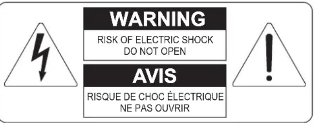 Viscount Unico 300 - IMPORTANT SAFETY INSTRUCTIONS - 1