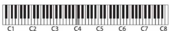 ROLAND HP701 - 阅读音符名称（如 C4） - 1