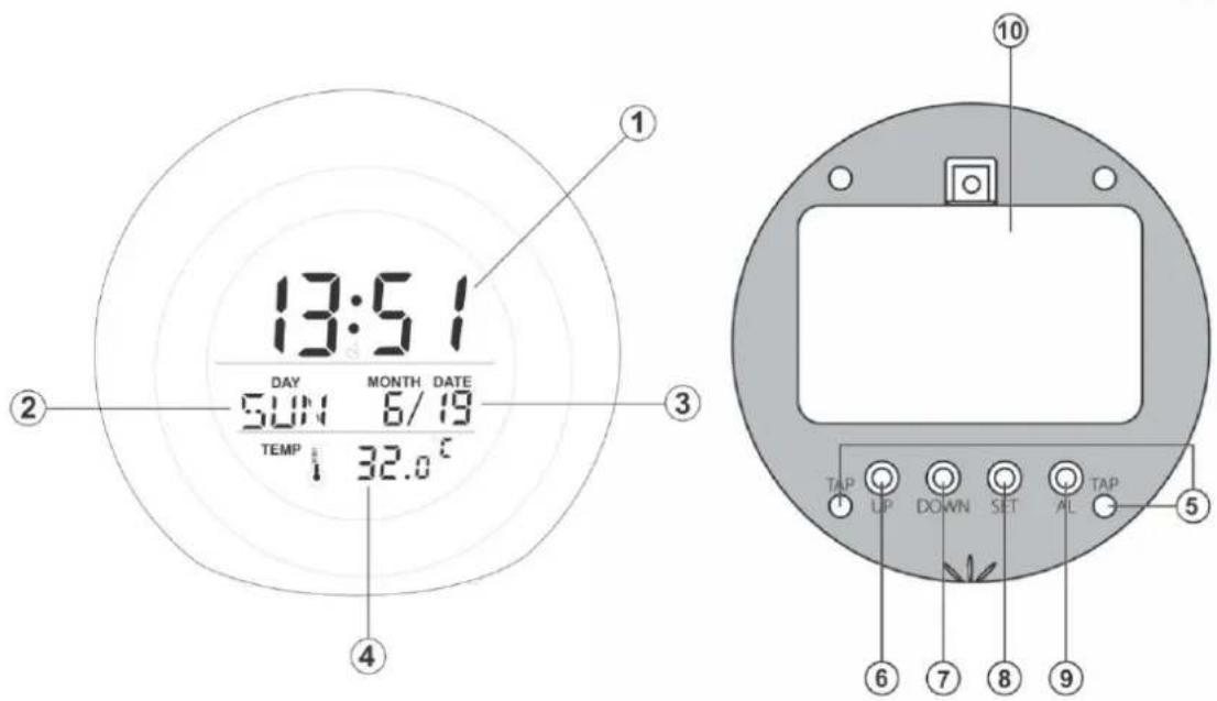 Techno Line WT 502 - Struktura: - 1