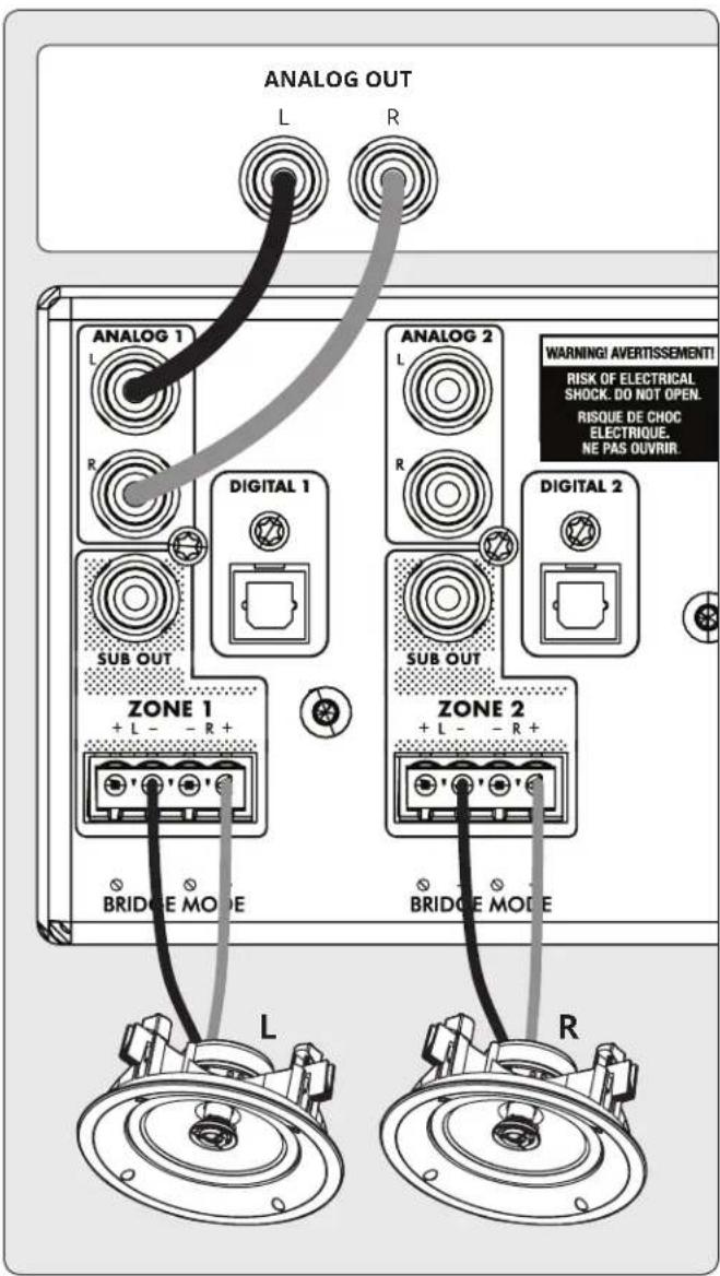 Anthem MDX-16 - Connexion du haut-parleur droit : - 1