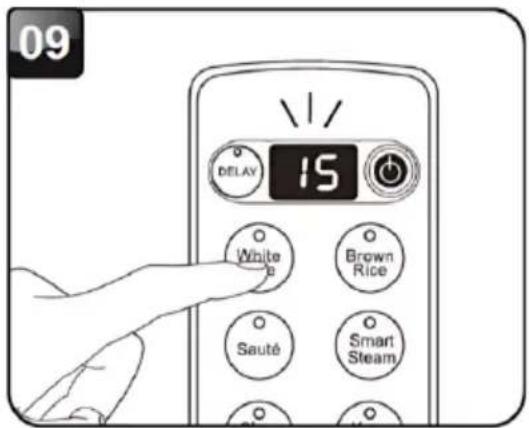 Brentwood RC-5116DS - USING THE DELAY TIMER MODE - 3