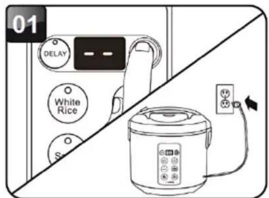 01 DELAY White Rice S