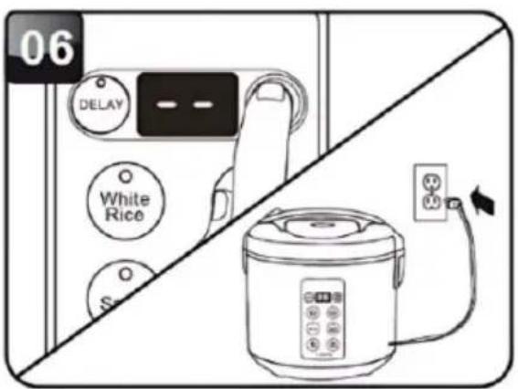06 DELAY White Rice