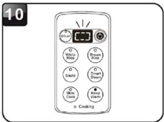 Brentwood RC-5116DS - USING THE DELAY TIMER MODE - 4