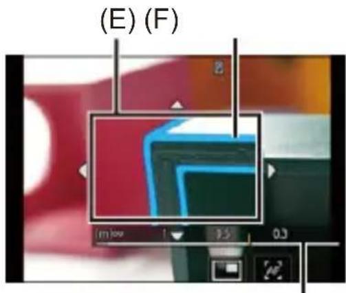 (E) (F)