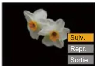 Suiv. Repr. Sortie