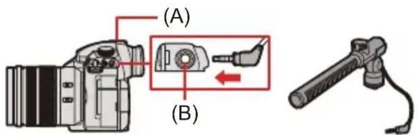 (A) (B)
