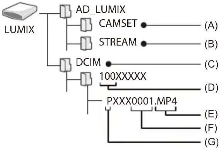 PANASONIC Lumix DC-GH5 II - Structure des dossiers d'une carte - 1