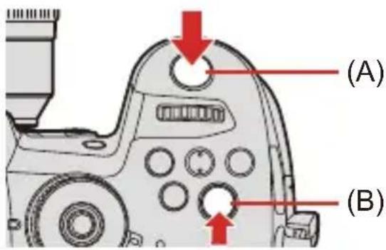 (A) (B)