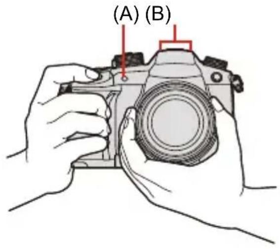 (A) (B)