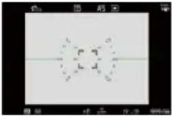 PANASONIC Lumix DC-GH5 II - [Affichage de la zone AF] - 3