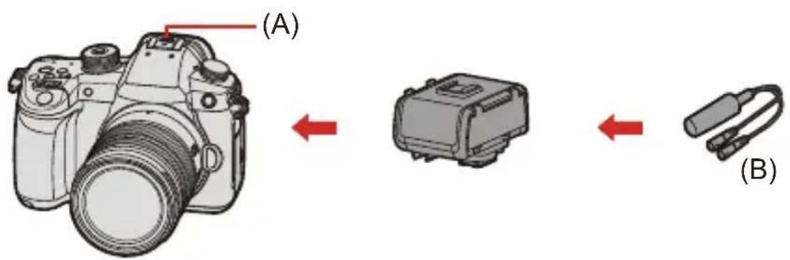 (A) (B)
