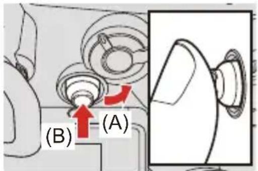(A) (B)