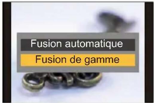 Fusion automatique Fusion de gamme