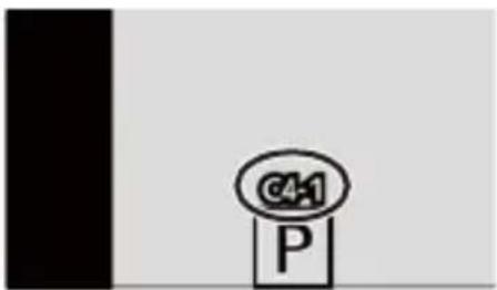 C4.1 P